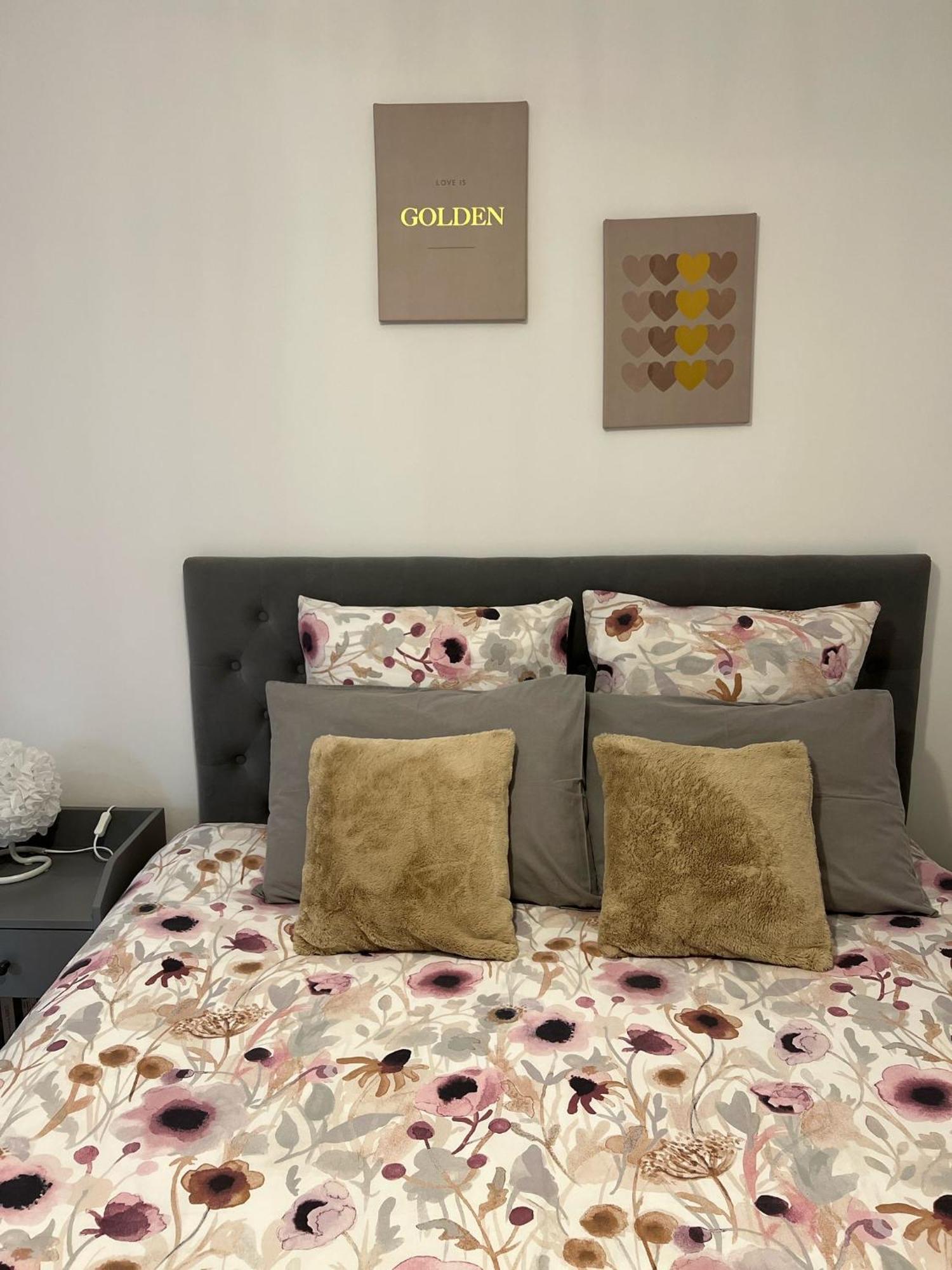 Le Patcho Charmant Studio Confortable & Chaleureux , Idealement Situe Proche Centre Ville Quartier Neustadt Tribunal, Contades Στρασβούργο Εξωτερικό φωτογραφία